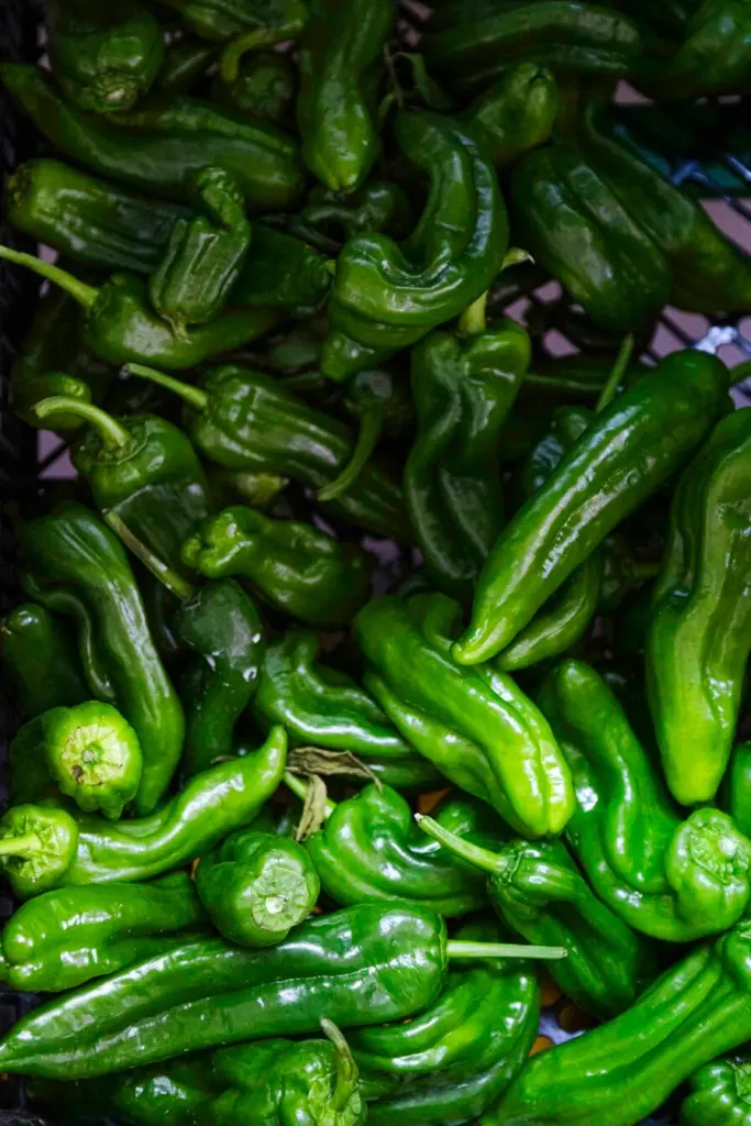 Pimientos verdes